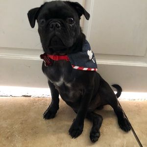 Meet your Posher, Karolyn